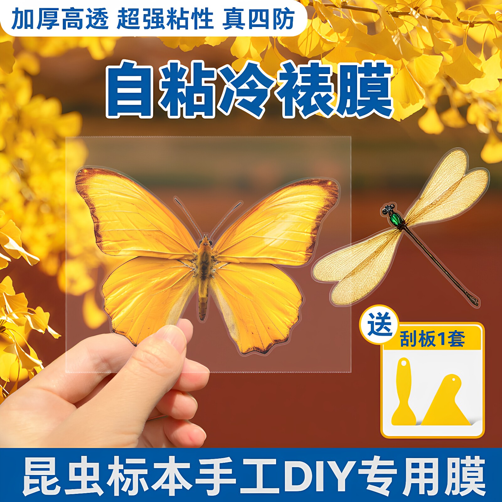 冷裱膜自粘标签标本照片塑封膜高光哑光自粘海报保护膜植物树叶昆虫标本相片冷膜封膜纸6寸 5寸 A4镭射冷裱膜