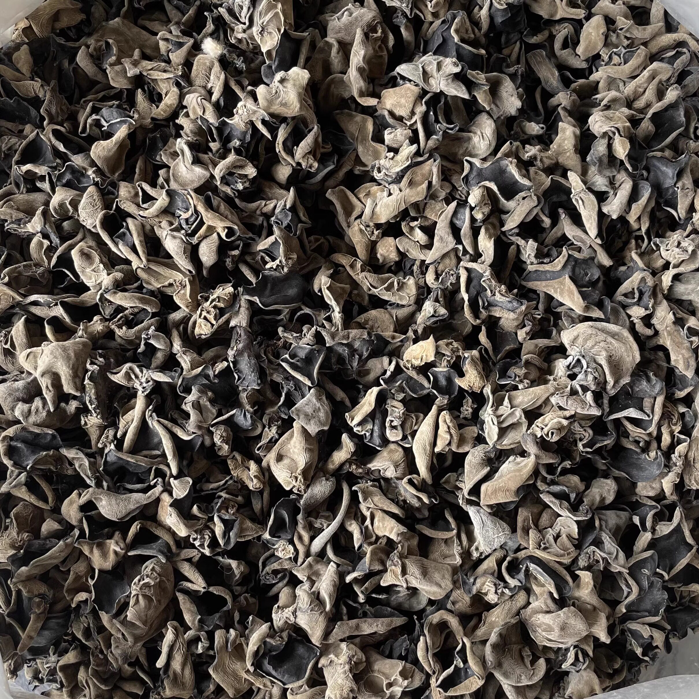 东北长白山特产黑木耳干货500g一斤天然软糯肉厚特级椴木秋木云耳