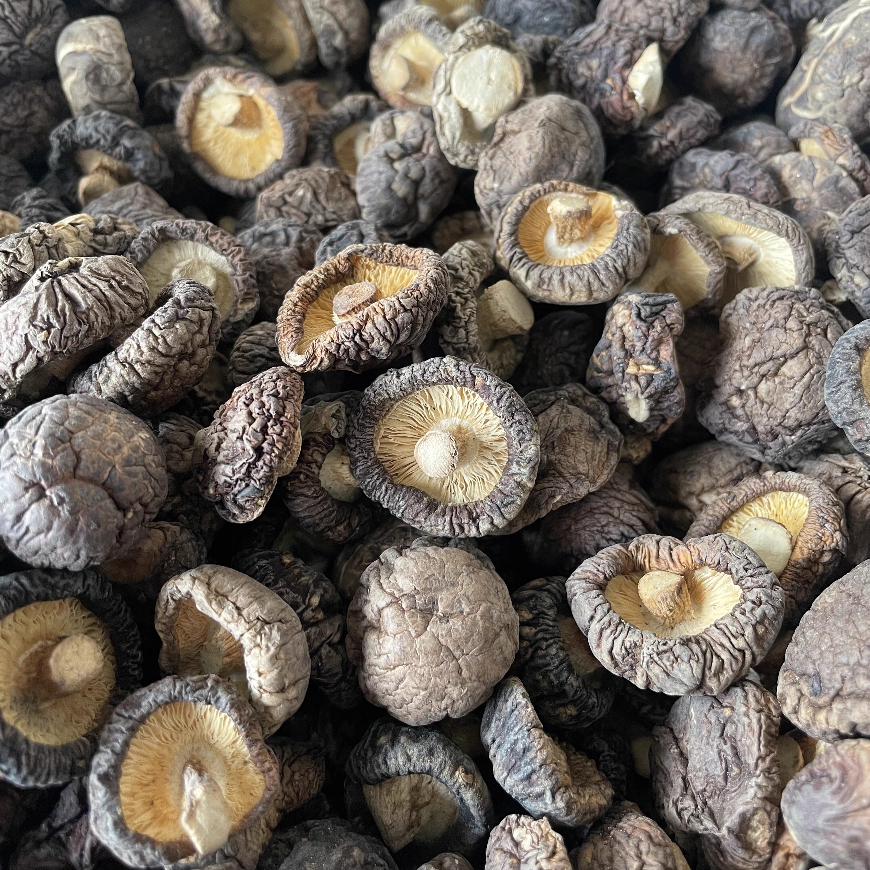 椴木香菇干香菇300g/500g福建土特产煲汤食材农家自产高山小蘑菇