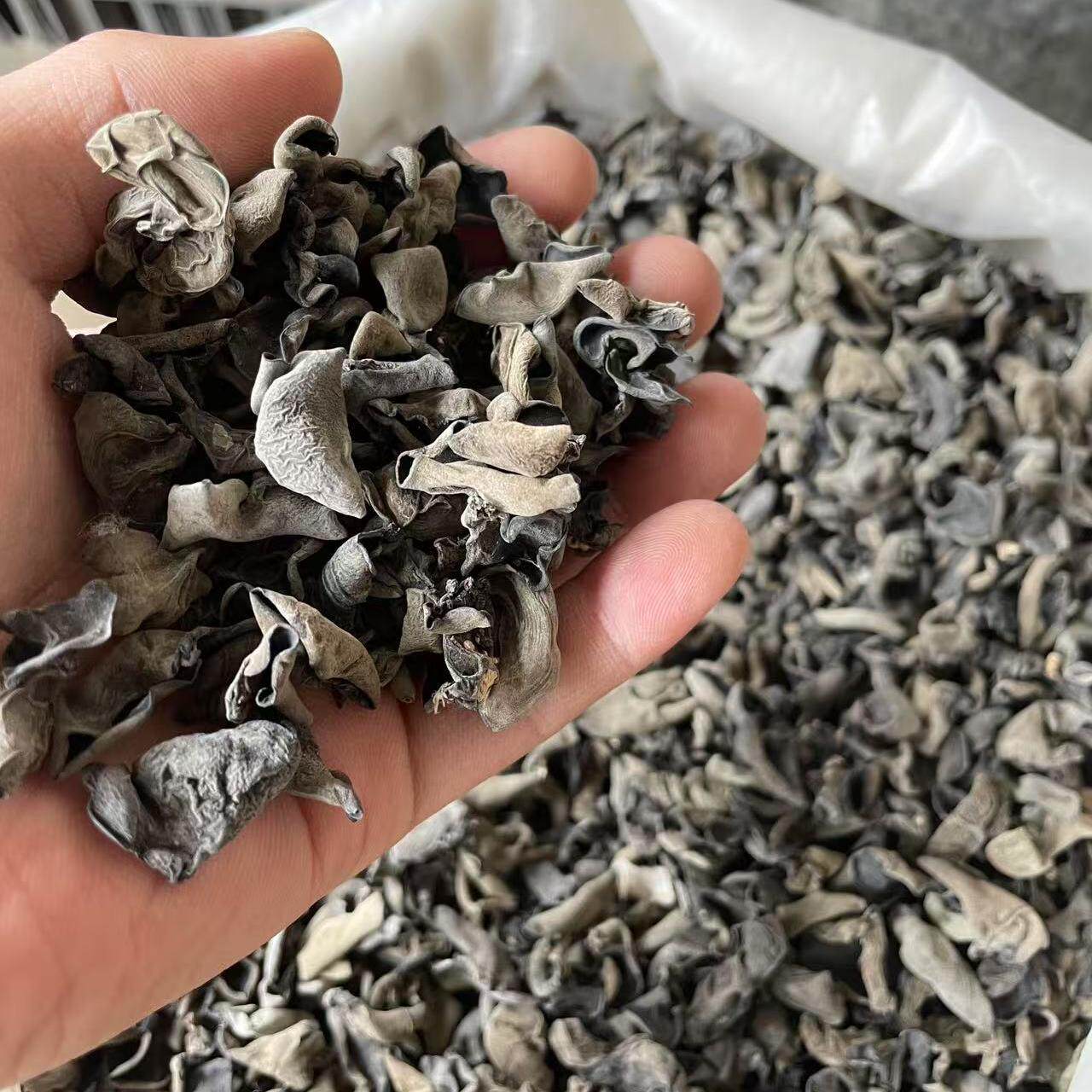 东北特产黑木耳干货一斤500g天然软糯肉厚醇香椴木培植秋木云耳