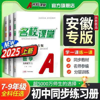 2025版安徽专版名校课堂七八九