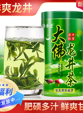 高品质 清承堂雨前龙井茶2025新茶绿茶茶包茶叶礼盒装散装250克