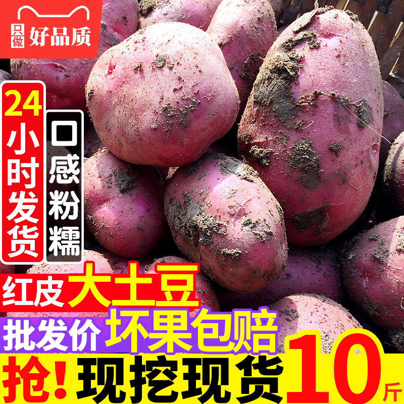 2022现挖红皮黄心大土豆新鲜10斤包邮农家批发云南老品种新马铃薯|msdalam kategori daging perikanan/Buah-buahan segar dan sayur-sayuran/dimasak, sayur-sayuran segar/Vegetable Products, sayur-sayuran segar, Potato - dari Buy2taobao.com untuk memberikan perkhidmatan ejen Taobao profesional membeli
