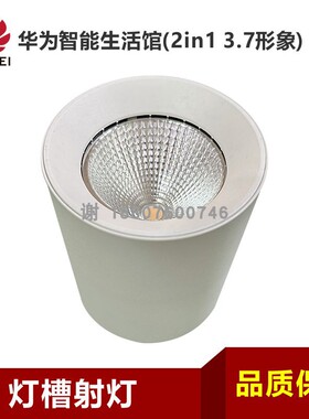 适用于华为智能生活馆2in1 3.7形象白色20W4000K灯槽圆形明装射灯