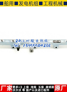 柴油发电机组东风康明斯ISLE机 燃油共轨管3963815 / 0445226025
