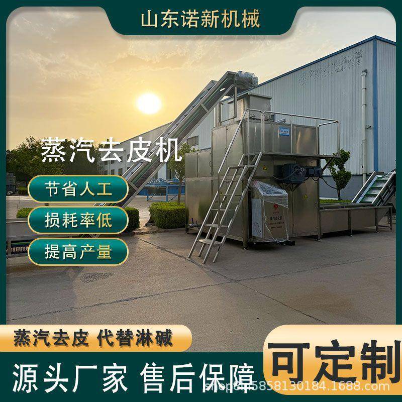蒸汽去皮机 脱皮设备 西红柿去皮 番茄酱加工流水西红柿去皮设备