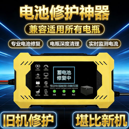 电动车电瓶复修神器长延电池
