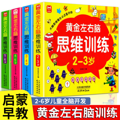 儿童黄金左右脑思维逻辑训练