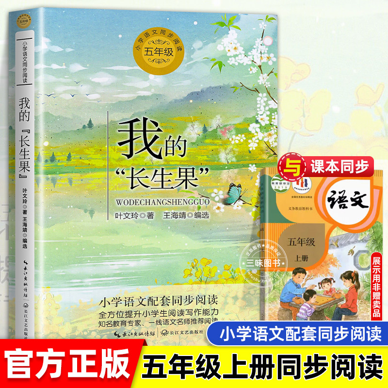 我的长生果 叶文玲著小学语文五年级课外拓展阅读 五年级上册小学语文同步阅读书系 小学生课外阅读书籍寒暑假书目 长江文艺出版社 - 实物图