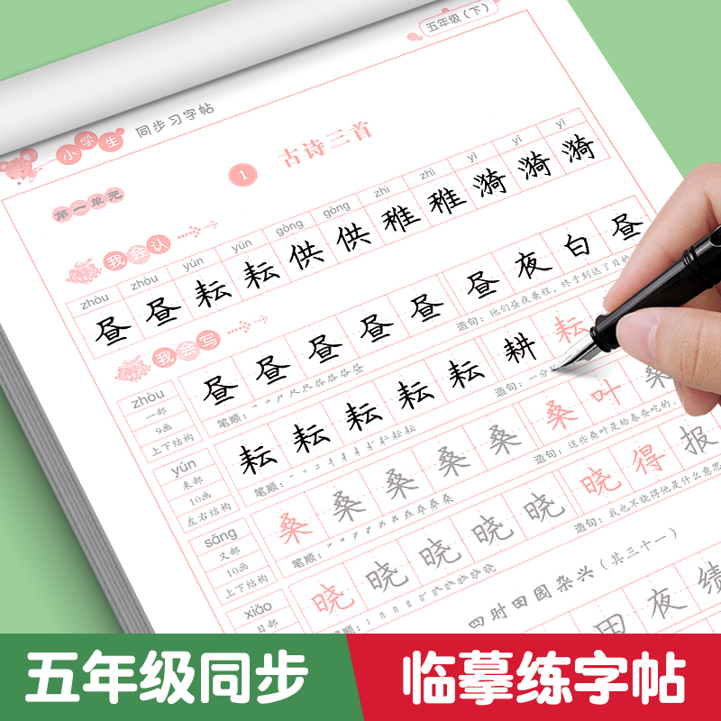 五年级上册同步字帖语文写字课课练人教版同步小学5年级下课本习字练字帖小学生楷体临摹硬笔笔顺笔画写字帖天天练每日一练