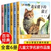 全套6册 冰心儿童文学获奖作品集 我家楼下的猫王魔法学校四年级阅读课外书必适合三四五六年级必读课外书目儿童读物百年经典正版