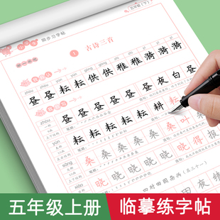 五年级上册下册同步字帖语文写字课课练人教版 同步小学5年级下课本习字练字帖小学生楷体临摹硬笔笔顺笔画写字帖天天练每日一练