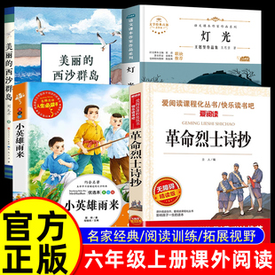 2025六年级上册经典课外阅读 革命烈士诗抄 灯光美丽的西沙群岛刘先平小英雄雨来小学生六年级红色经典儿童文学课外阅读
