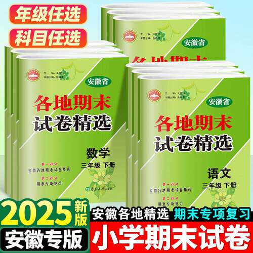 2025安徽专版小学各地期末试卷
