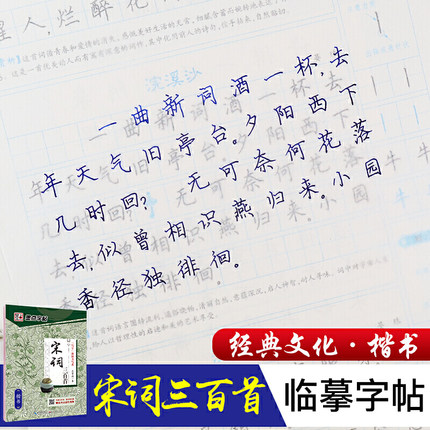 唐诗三百首宋词三百首练字帖 正版墨点字帖经典文化系列 荆霄鹏楷书入门硬笔书法教程初学者成人书法入门速成硬钢笔临摹正楷字贴