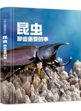 dk同款少年儿童探索系列百科全书