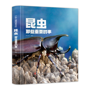 昆虫那些重要的事中国少年儿童探索百科全书恐龙 动物 太空 宇宙 自然 科学 地球 海洋少儿趣味百科全书全套dk儿童博物大百科绘本