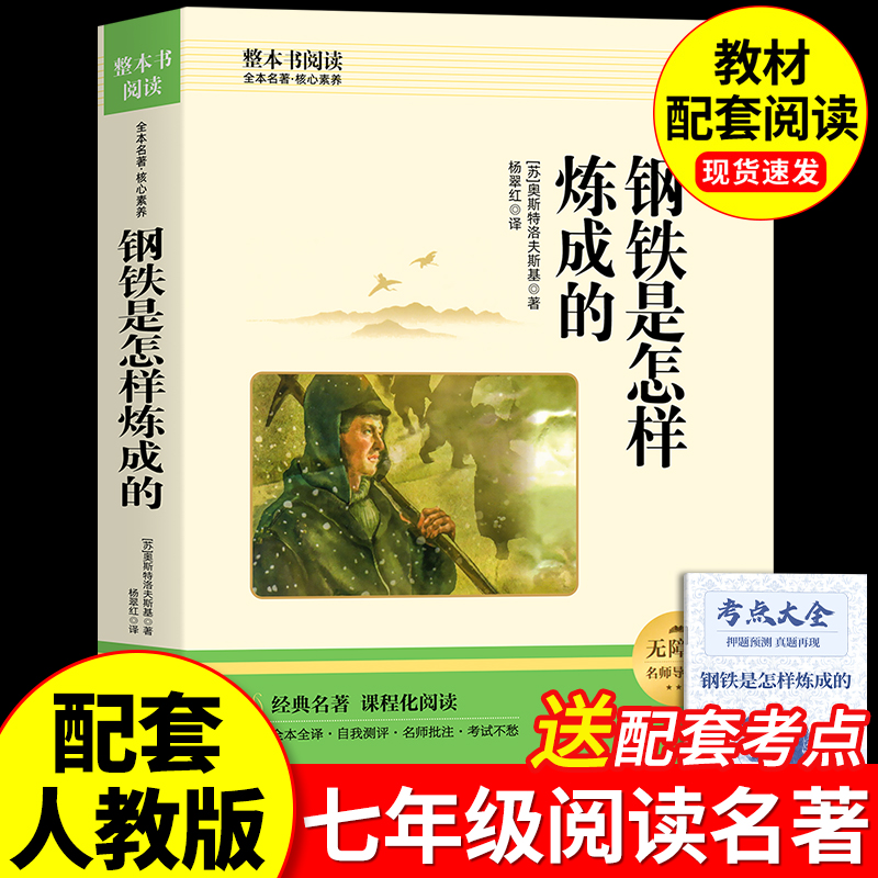 钢铁是怎样炼成的初中必读正版