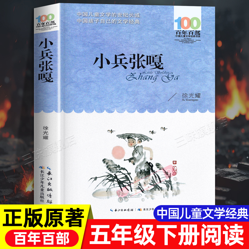小兵张嘎俗世奇人五年级下册必读