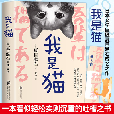 我是猫夏日漱石著正版