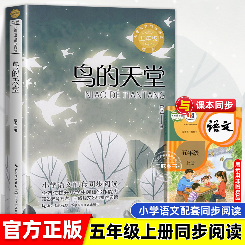 鸟的天堂 巴金著 小学语文五年级课外拓展阅读 五年级上册 小学语文同步阅读书系 小学生必课外阅读书籍寒暑假书目 长江文艺出版社 - 实物图