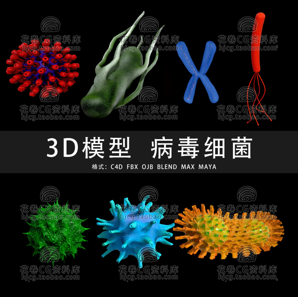 G901-C4D/MAYA/3DMAX病毒染色体细菌芽孢杆菌沙门 3D模型素材