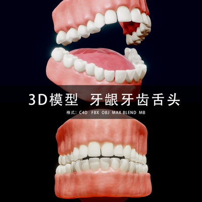 G401-C4D/MAYA/3DMAX 三维模型 人口腔牙齿牙龈舌头 3D模型素材