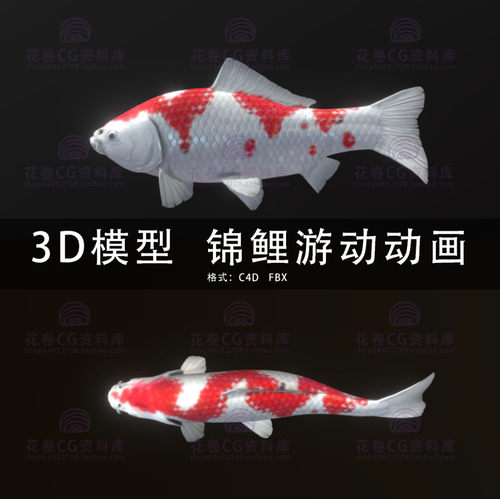 G590-C4D三维模型 鲤鱼游摆动画锦鲤游动循环动画 3D模型素材