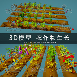 H914-C4D/MAYA/3DMAX 辣椒茄子番茄卡通农作物生长阶段3D模型素材