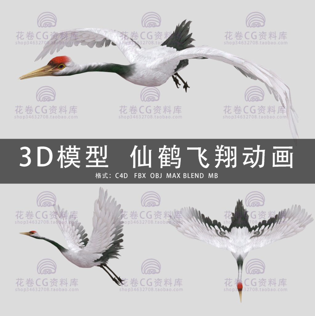 g585-c4d/maya/3dmax三维模型 仙鹤丹顶鹤飞翔带动画 3d模型素材