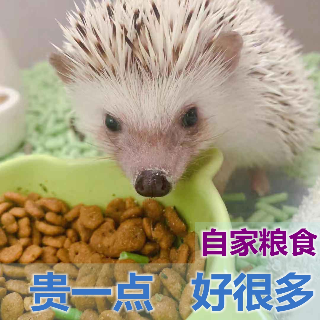 刺猬饲料适口性强营养自配长胖粮