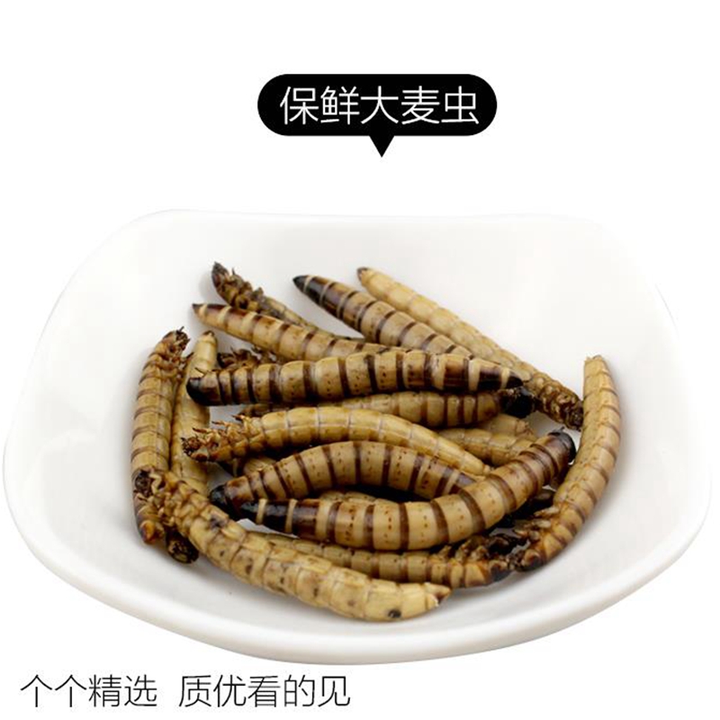 保鲜饲料仓鼠零食高蛋白食物营养