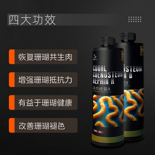 粤海共肉修复珊瑚细菌感染布朗冻杀菌火柴头细菌感染珊瑚脱骨修复