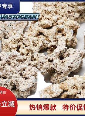 印尼片状爪哇干岩石海缸造景石代替海水活石片状死石培菌石免爆藻