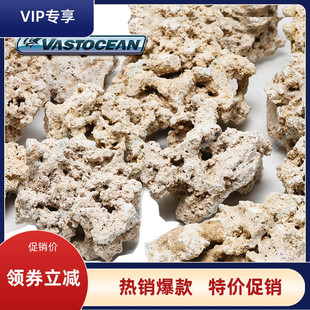 印尼片状爪哇干岩石海缸造景石代替海水活石片状死石培菌石免爆藻