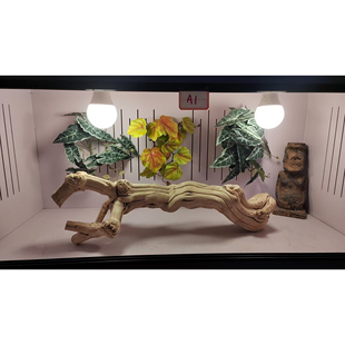 爬宠造景木雨林缸蛇睫角守宫鬃狮蜥蜴攀爬晒台龙纹枯木霸王藤木头