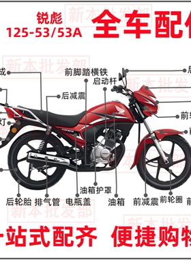 适用摩托车配件锐彪125-53/53A外壳CB125头罩大灯减震仪表