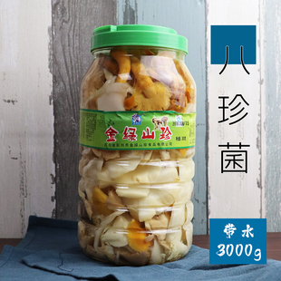 八珍菌3000g清水食用菌新鲜火锅菌汤锅山珍菌滑菇桶装 包邮