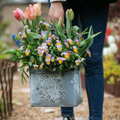 掬涵铁艺花盆铁皮桶花桶覆古做旧鲜花干燥花多肉花器花篮花店装 饰