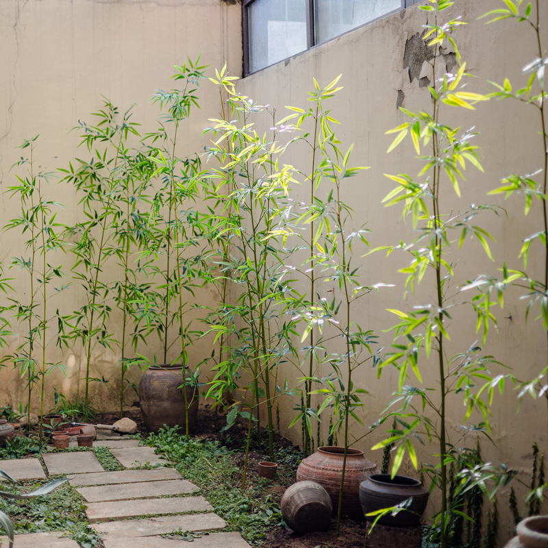 掬涵仿真竹子盆栽绿植隔断屏风