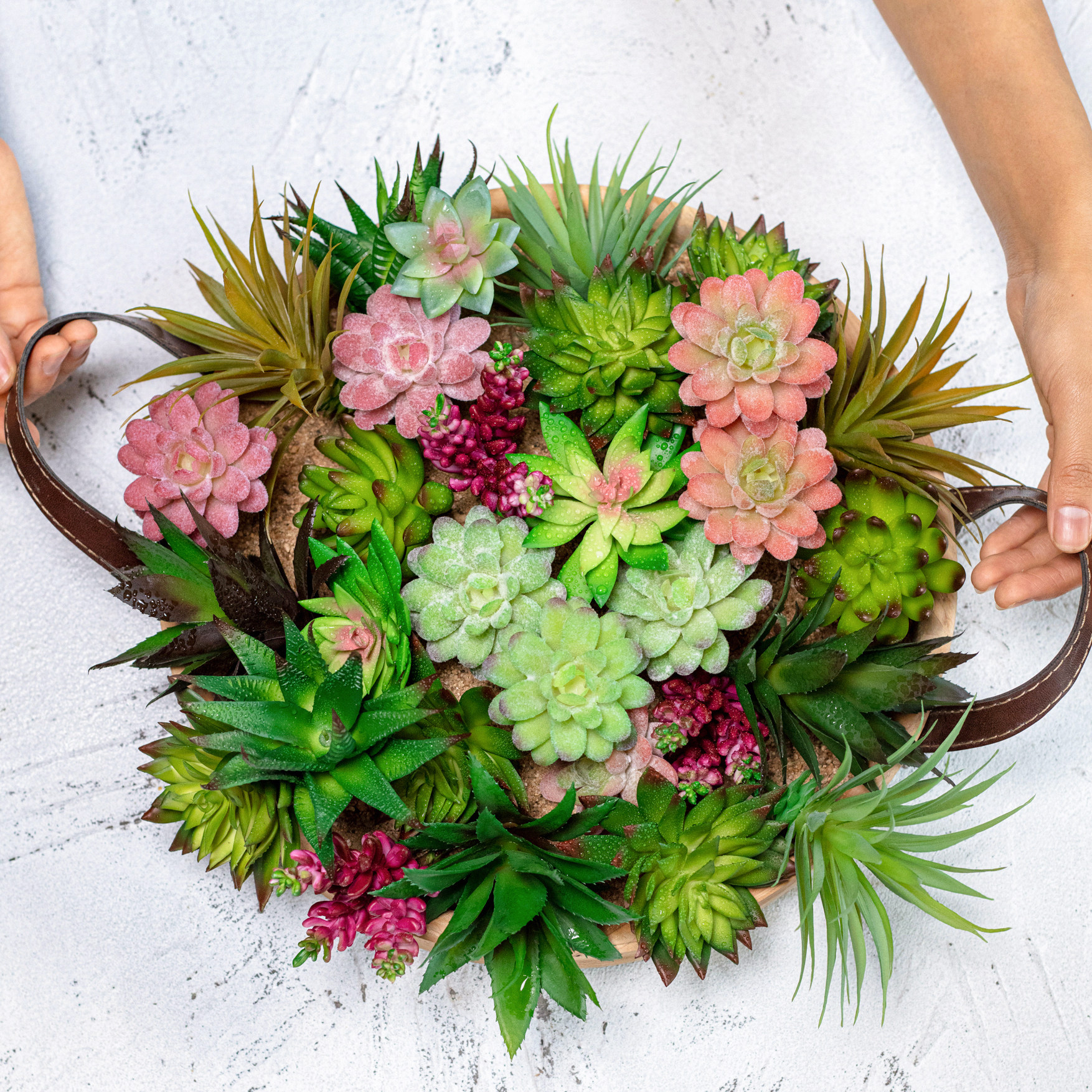 仿真空气积水凤梨多肉植物绿小盆景苔藓蕨类悬挂综合造景鱼缸搭配,家居饰品,仿真植物盆景,淘宝优惠券,粉丝福利购,淘宝优惠卷