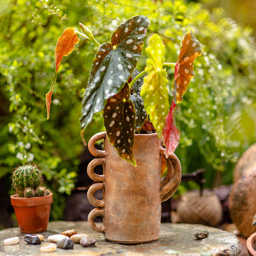 掬涵希腊红陶花盆花器侘寂风摆件