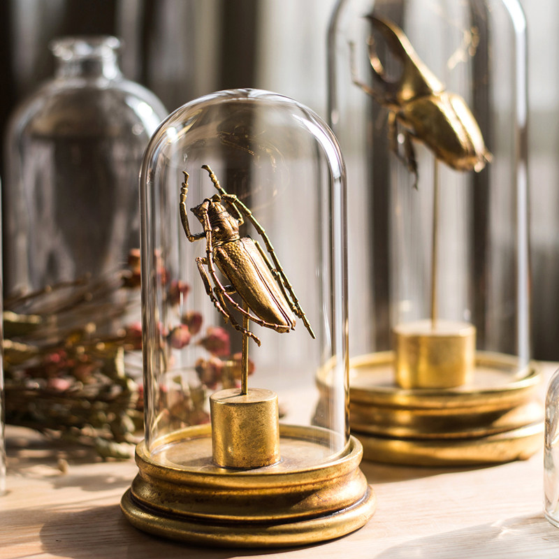 掬涵金属色甲虫标本昆虫轻奢礼物桌面装饰摆件另类艺术朋克摇滚