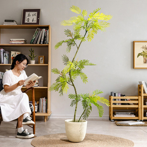 掬涵大型仿真绿植落地植物装饰