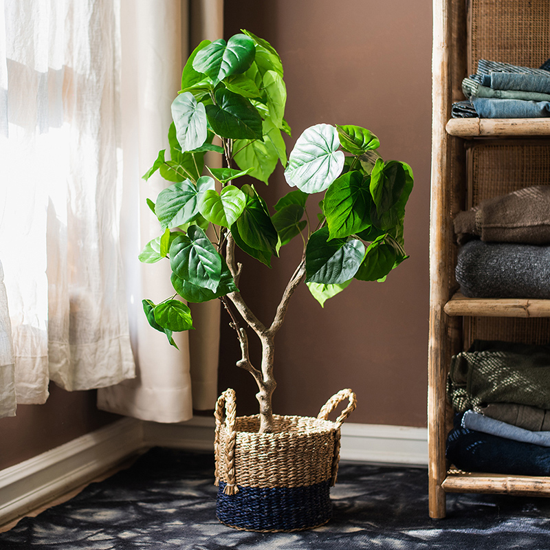 掬涵仿真绿植餐厅会所客厅卧室