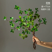 3 листа яблони