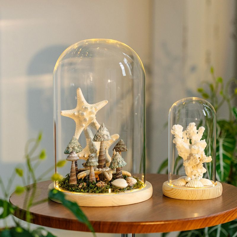 掬涵玻璃罩摆件发光底座带灯防尘