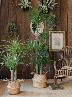 Juhan斯堪的纳维亚无障碍豪华模拟绿色植物龙血树大型落地式盆栽