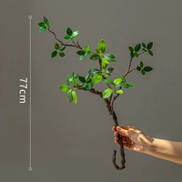 1 лист яблони