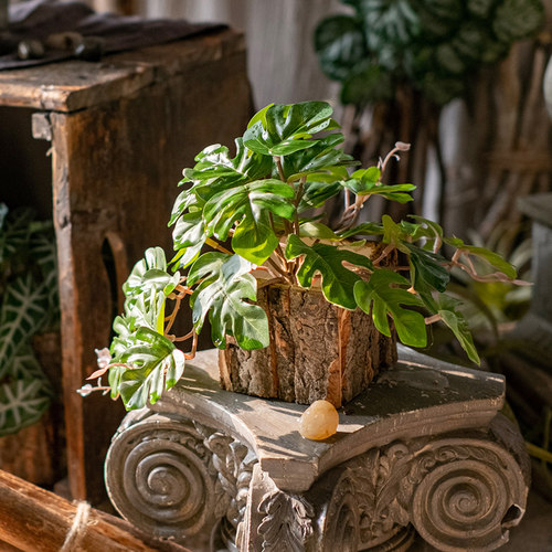 掬涵仿真植物壁挂龟背叶森系造景